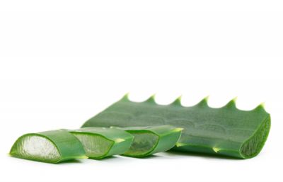 Aloe vera: Μελέτη για την αντικαρκινική δράση